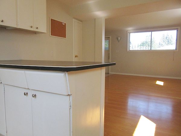 Calgary 3 bedrooms Basement for rent. Property photo: 101027-3
