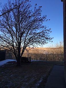 Calgary 4 + Den bedrooms House for rent. Property photo: 133651-3