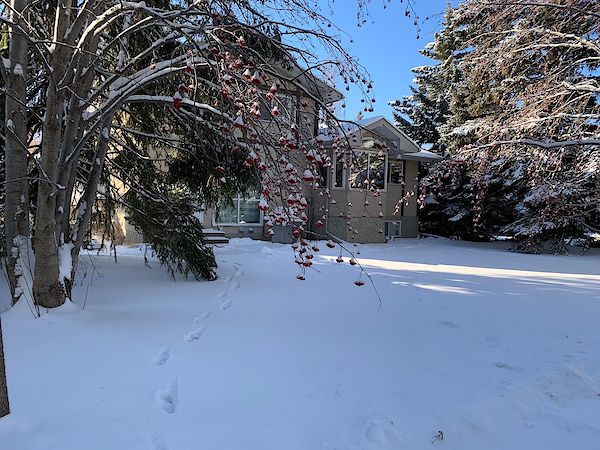 Calgary 4 bedrooms House for rent. Property photo: 135964-3