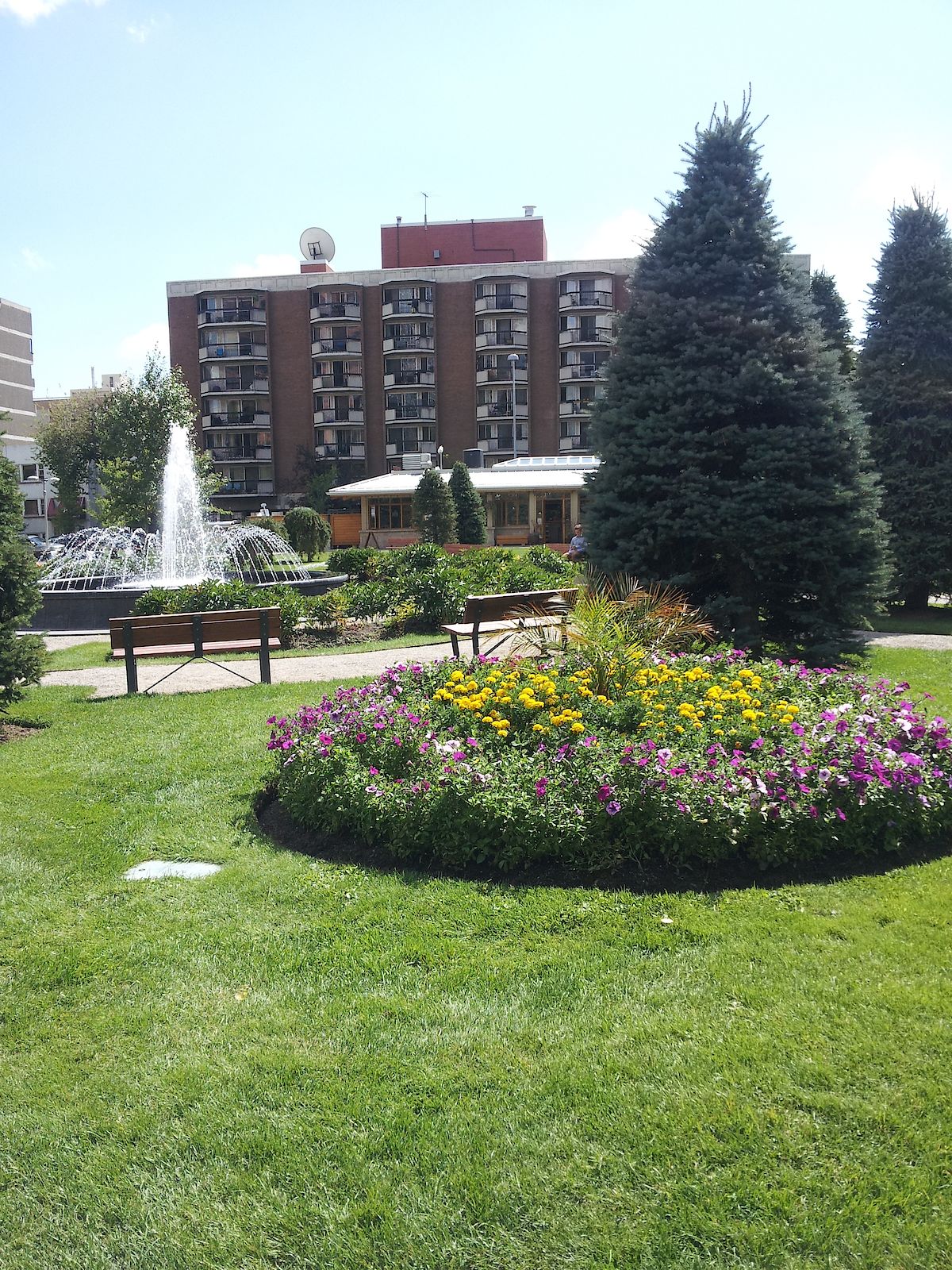 Calgary 1 bedroom Condo Unit for rent. Property photo: 16437-1