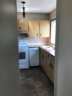 Edmonton 1 bedroom Apartment for rent. Property photo: 252922-3