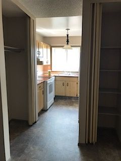 Edmonton 1 bedroom Apartment for rent. Property photo: 252922-2