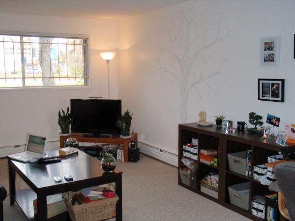 Edmonton 1 bedroom Condo Unit for rent. Property photo: 260237-1