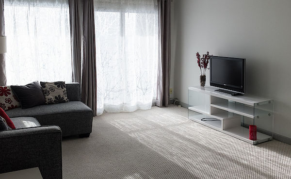Edmonton 1 bedroom Condo Unit for rent. Property photo: 273036-2