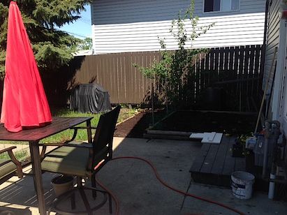 Edmonton 1 bedroom Basement for rent. Property photo: 276050-3