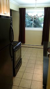 Edmonton 1 bedroom Condo Unit for rent. Property photo: 283331-3