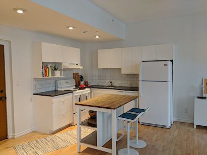 Edmonton 1 bedroom Loft for rent. Property photo: 288388-3