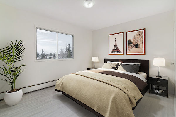 Edmonton 1 bedroom Apartment for rent. Property photo: 288654-3