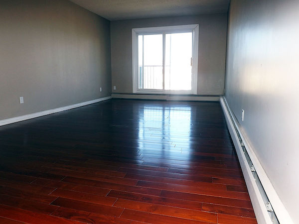+Nicoll+Manor+Living+Room Edmonton studio Apartment for rent. Property photo: 289326-3