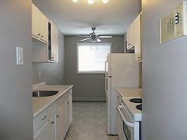 Saskatoon 1 bedroom Apartment for rent. Property photo: 294091-3