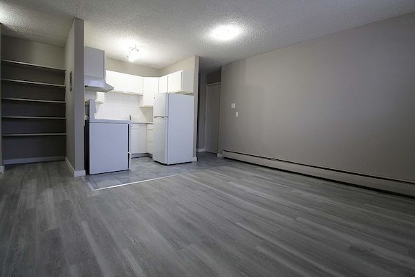 Kerpel+Apartments+Living+Room Saskatoon 1 bedroom Apartment for rent. Property photo: 294110-2