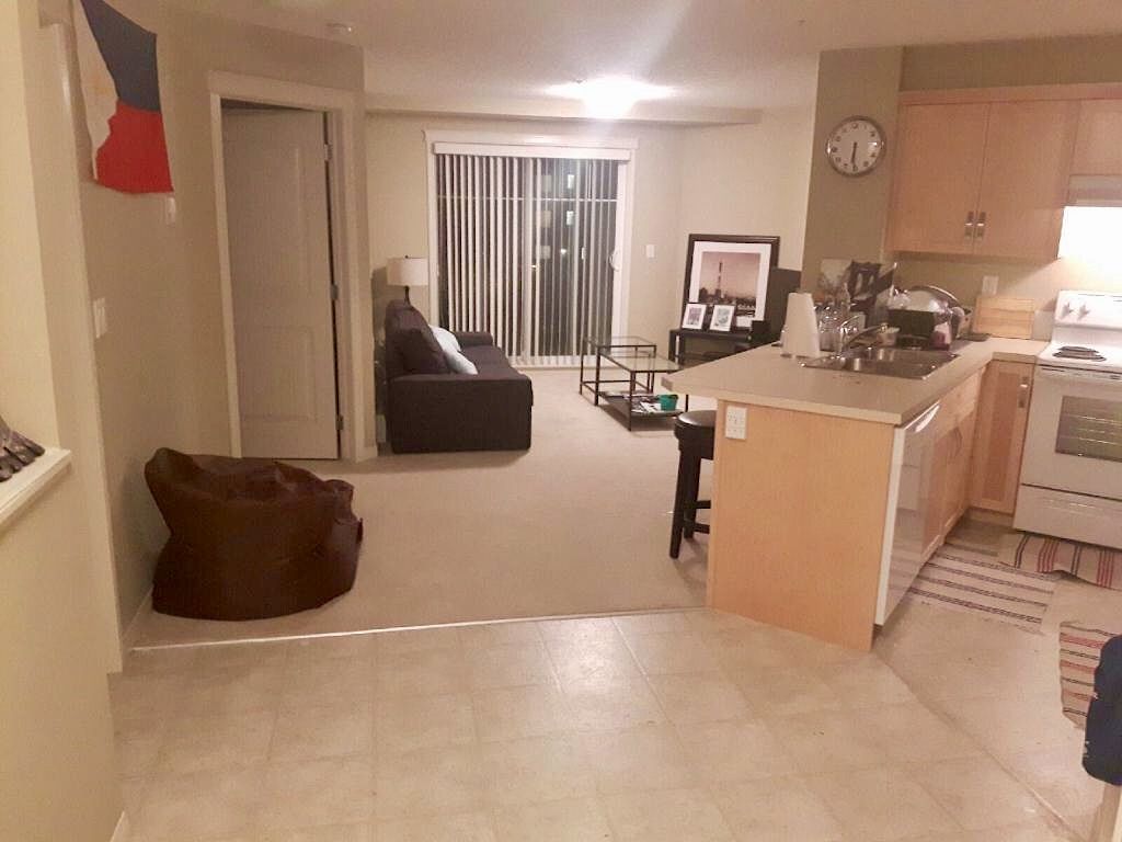 Calgary 2 bedrooms Condo Unit for rent. Property photo: 294611-1
