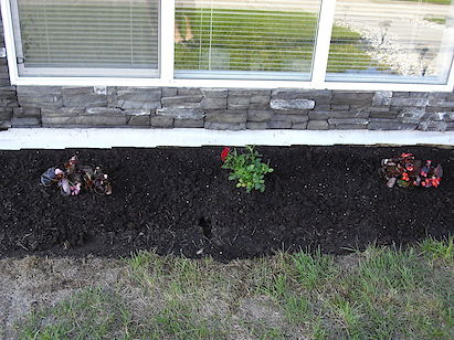 Red Deer 5 bedrooms House for rent. Property photo: 296163-3