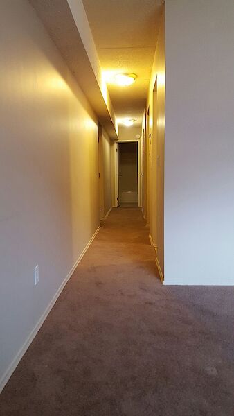 Calgary 2 bedrooms Apartment for rent. Property photo: 305280-3