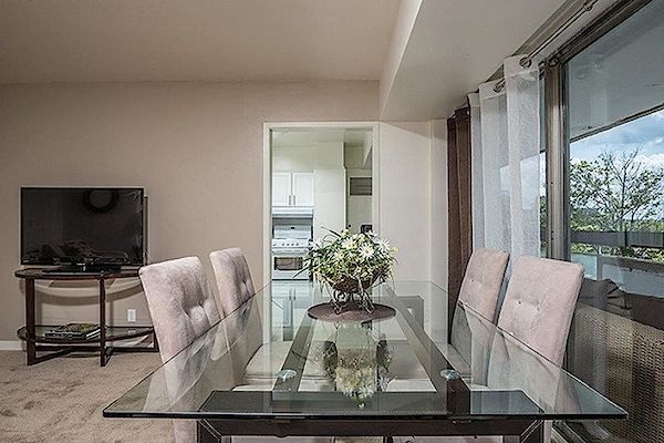 Ottawa studio Apartment for rent. Property photo: 311009-3