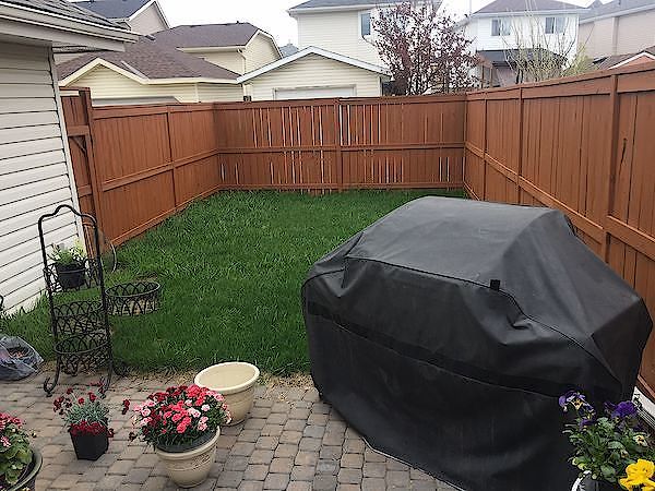Backyard Calgary 1 bedroom Basement for rent. Property photo: 312242-2