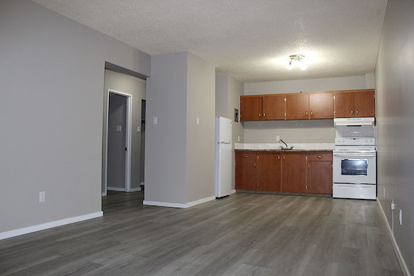 Sophie+Place+Living+Room Saskatoon 1 bedroom Apartment for rent. Property photo: 319540-2