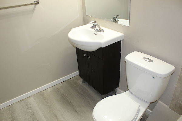 Sophie+Place+Washroom Saskatoon 1 bedroom Apartment for rent. Property photo: 319540-3