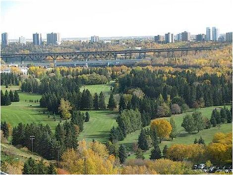 Edmonton 1 bedroom Condo Unit for rent. Property photo: 320098-3