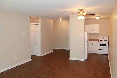 Open+layouts St. John's 1 bedroom Apartment for rent. Property photo: 321124-3
