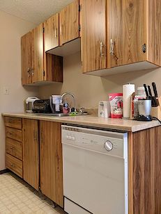 Kitchen+with+new+dishwasher Edmonton 1 bedroom Condo Unit for rent. Property photo: 323203-3