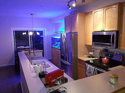 Calgary 2 bedrooms Condo Unit for rent. Property photo: 323854-3