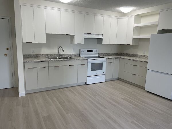 Saskatoon 1 bedroom Apartment for rent. Property photo: 329927-3