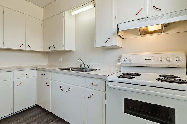 Wetaskiwin 1 bedroom Apartment for rent. Property photo: 334194-2