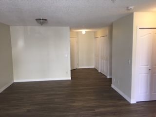 Calgary 1 bedroom Condo Unit for rent. Property photo: 340772-1