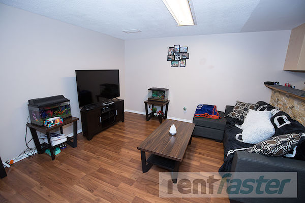 Edmonton 2 + Den bedrooms Basement for rent. Property photo: 341307-3