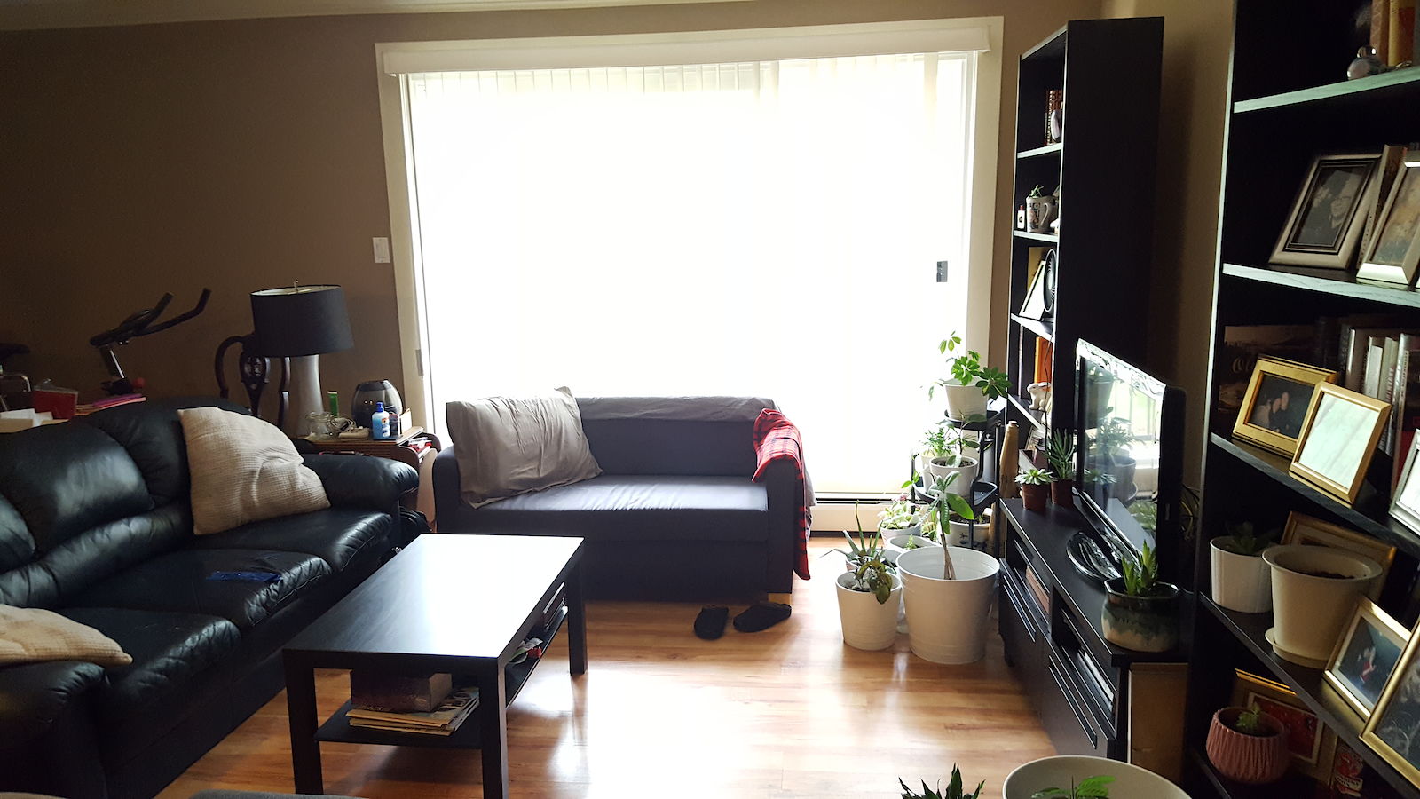 Edmonton 1 bedroom Condo Unit for rent. Property photo: 343056-1