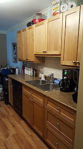 Edmonton 1 bedroom Condo Unit for rent. Property photo: 343056-2