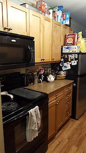 Edmonton 1 bedroom Condo Unit for rent. Property photo: 343056-3