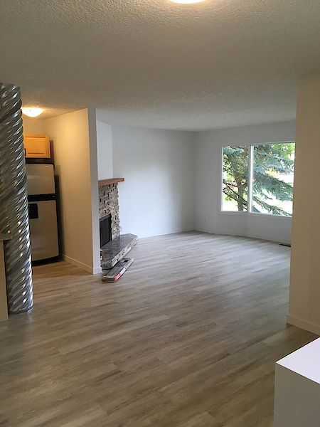 Calgary 3 bedrooms Main Floor for rent. Property photo: 344137-3