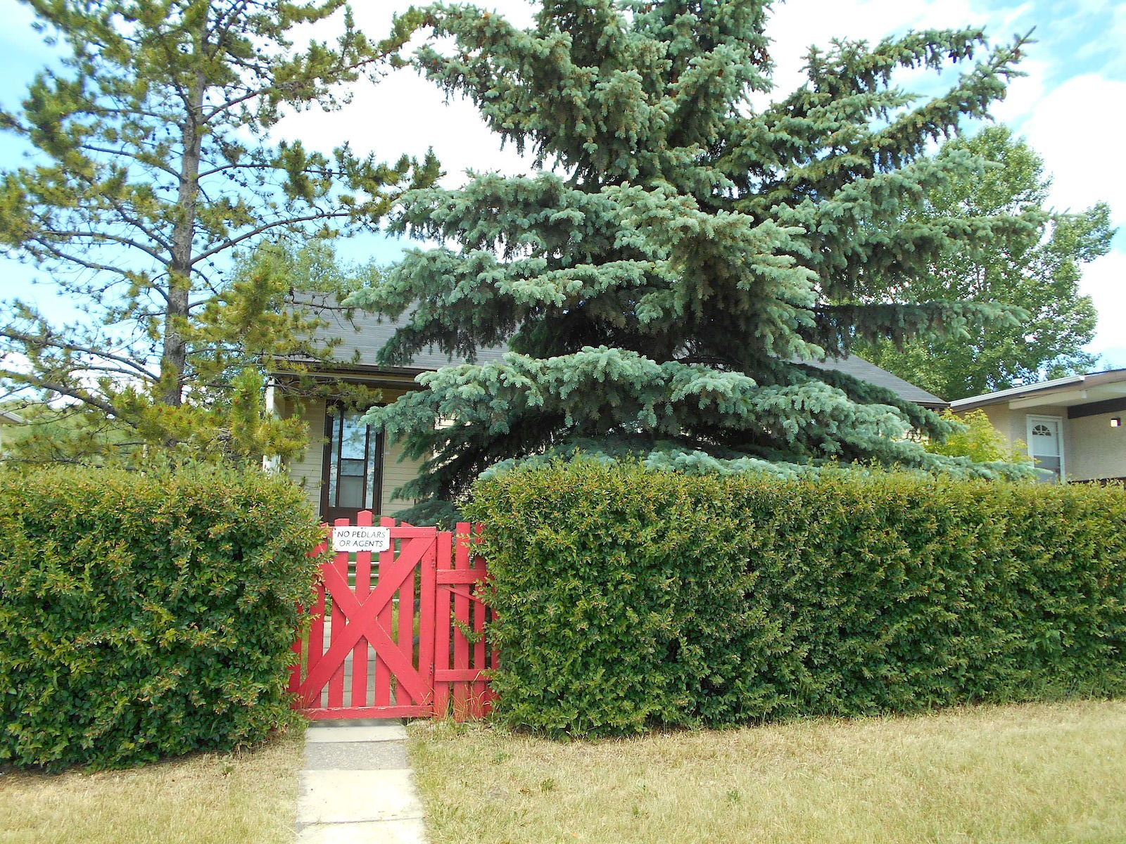 Cochrane 3 + Den bedrooms House for rent. Property photo: 347520-1