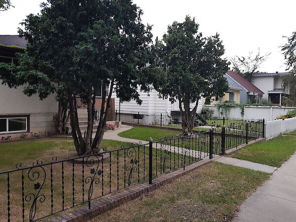 Edmonton 2 + Den bedrooms Basement for rent. Property photo: 347953-3