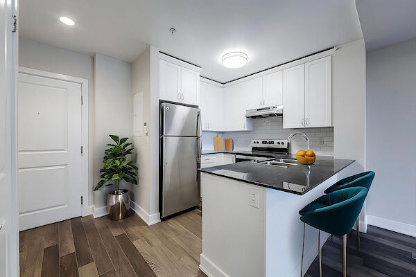 Burlington 1 bedroom Apartment for rent. Property photo: 351668-2