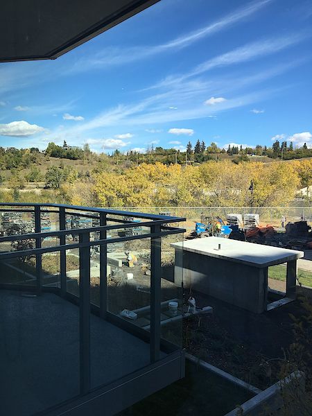 Calgary 1 bedroom Condo Unit for rent. Property photo: 354243-2
