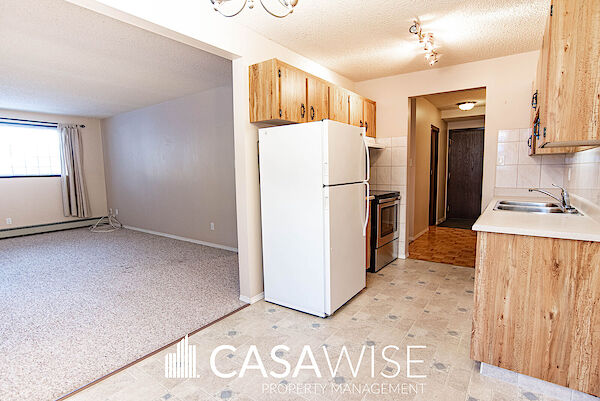 Edmonton 1 bedroom Apartment for rent. Property photo: 362323-3