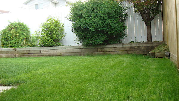 Airdrie 4 + Den bedrooms House for rent. Property photo: 363358-2