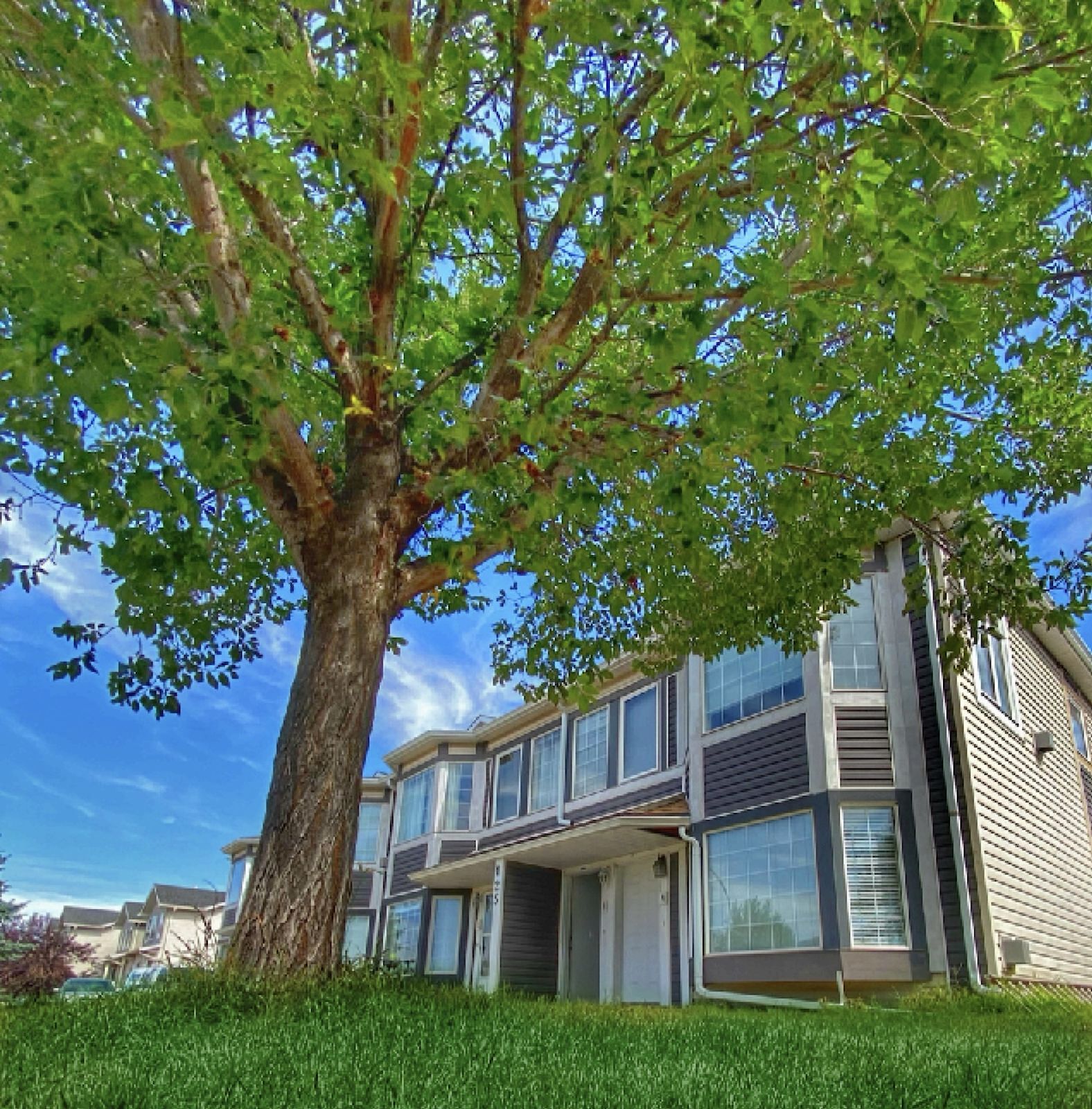 Strathmore 2 bedrooms Condo Unit for rent. Property photo: 363434-1