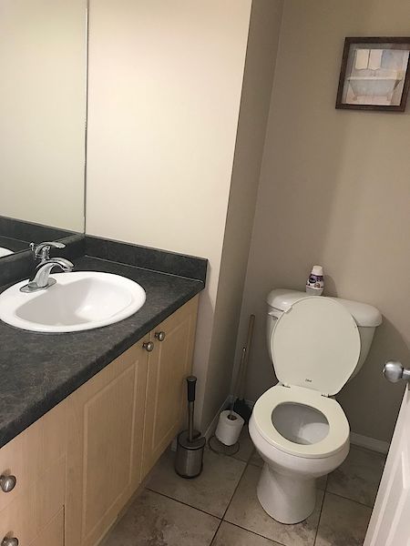 Edmonton 3 + Den bedrooms Duplex for rent. Property photo: 372175-3