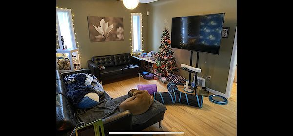 Edmonton 3 bedrooms House for rent. Property photo: 375079-3