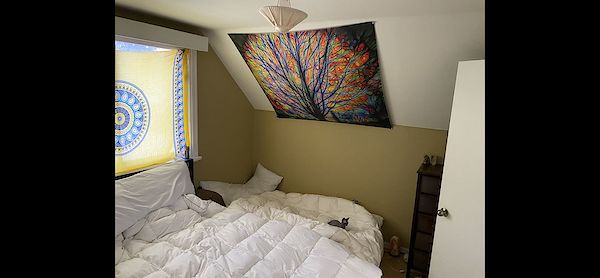 Edmonton 3 bedrooms House for rent. Property photo: 375079-2