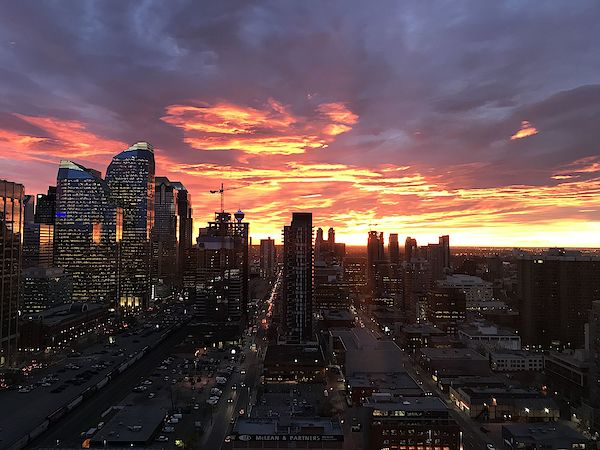 Calgary 1 bedroom Condo Unit for rent. Property photo: 387403-3