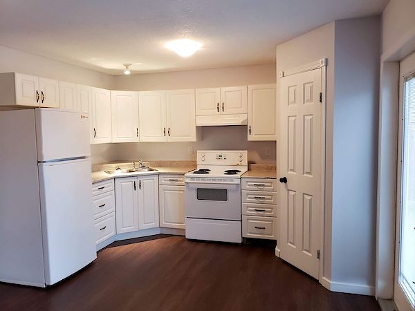 Red Deer 1 bedroom Basement for rent. Property photo: 388700-3