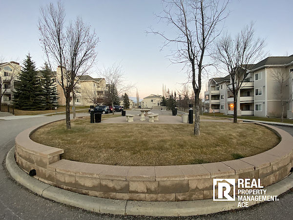 Calgary 2 bedrooms Condo Unit for rent. Property photo: 395036-3