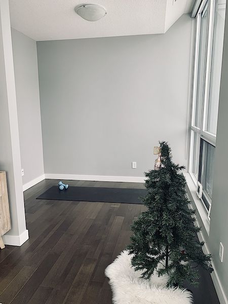 Edmonton 1 bedroom Condo Unit for rent. Property photo: 398386-3