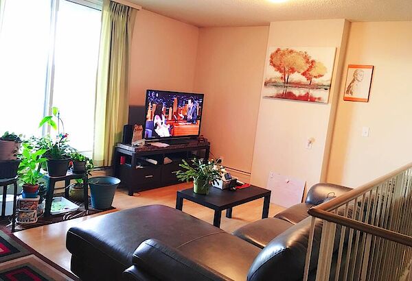 Calgary 2 bedrooms Condo Unit for rent. Property photo: 409201-3