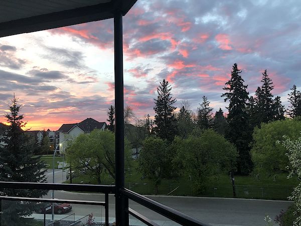 Edmonton 1 bedroom Condo Unit for rent. Property photo: 412101-2